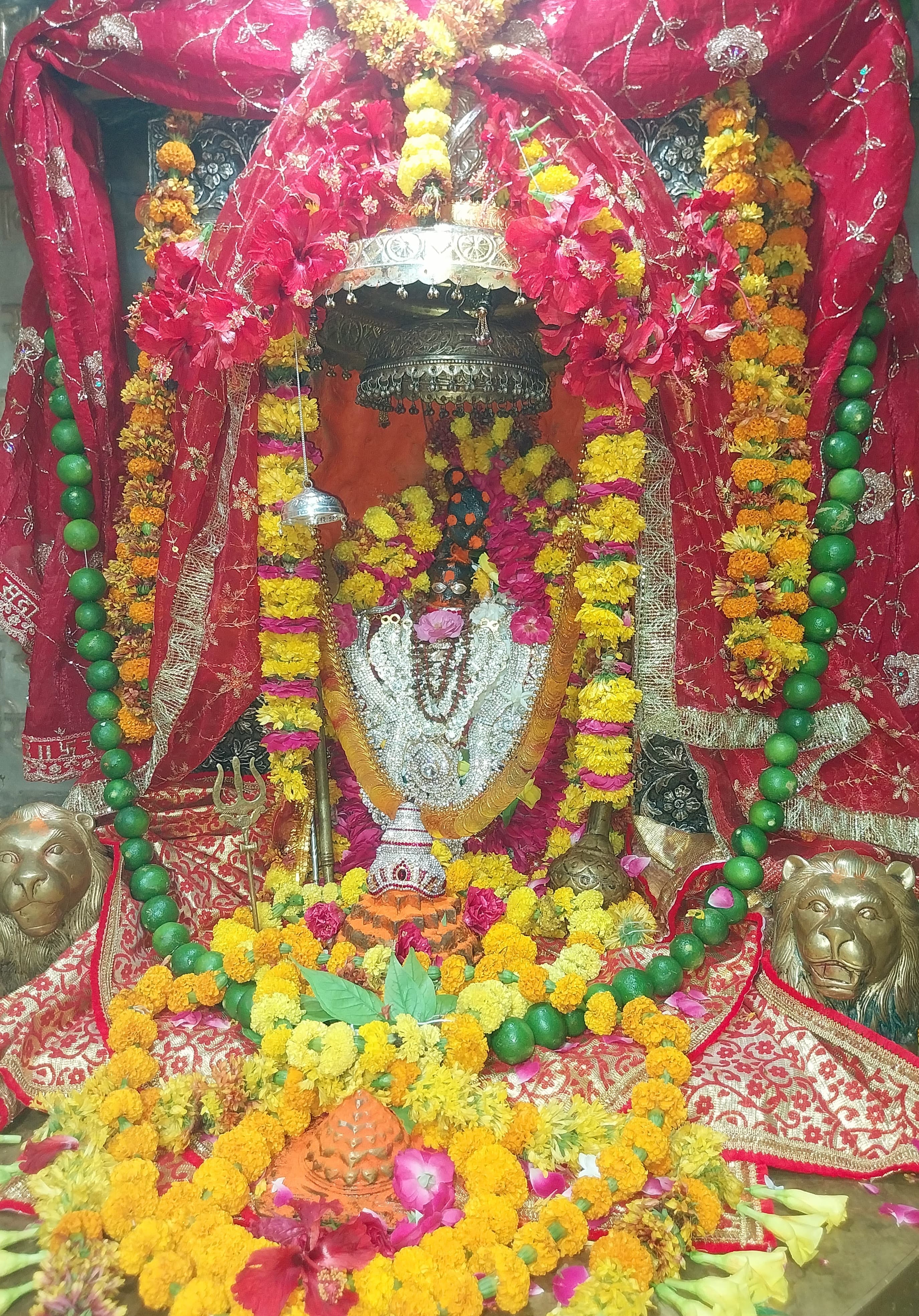 Ma Lalita Devi Temple, Naimisharanya